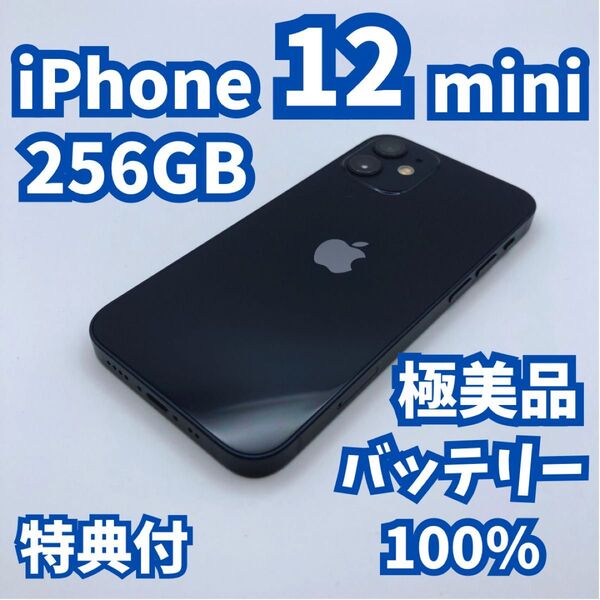 【極美品】iPhone 12 mini 256GB 新品バッテリー100% SIMフリー