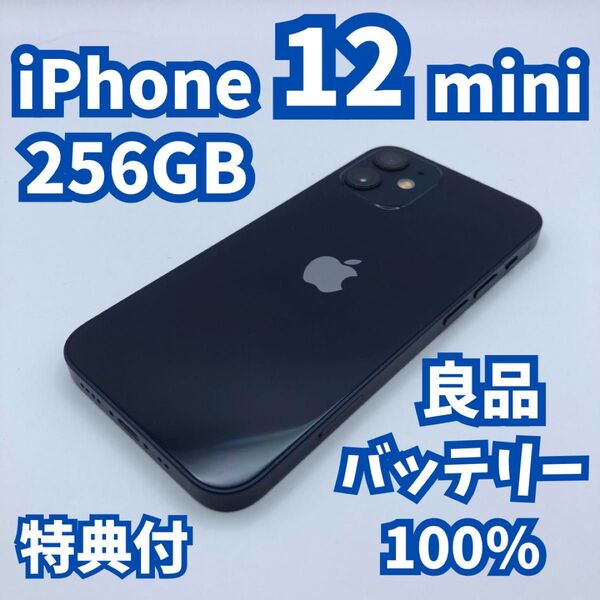 【良品】iPhone 12 mini 256GB 新品バッテリー100% SIMフリー