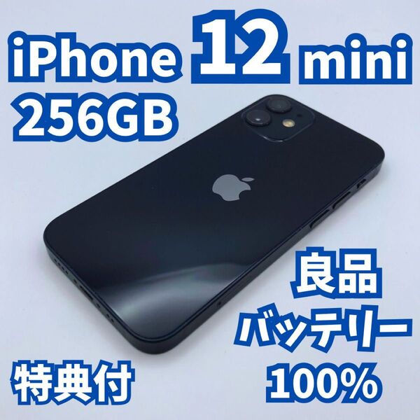 【良品】iPhone 12 mini 256GB 新品バッテリー100% SIMフリー
