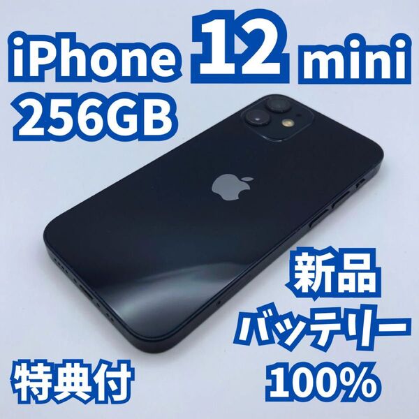 【良品】iPhone 12 mini 256GB 新品バッテリー100% SIMフリー