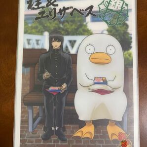 銀魂 クリアカード ジャンボカードダス 桂小太郎 エリザベス