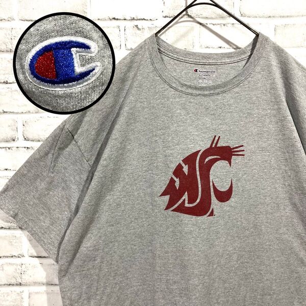 1497 Champion チャンピオン Tシャツ ワシントン カレッジロゴ グレー 3XL USA