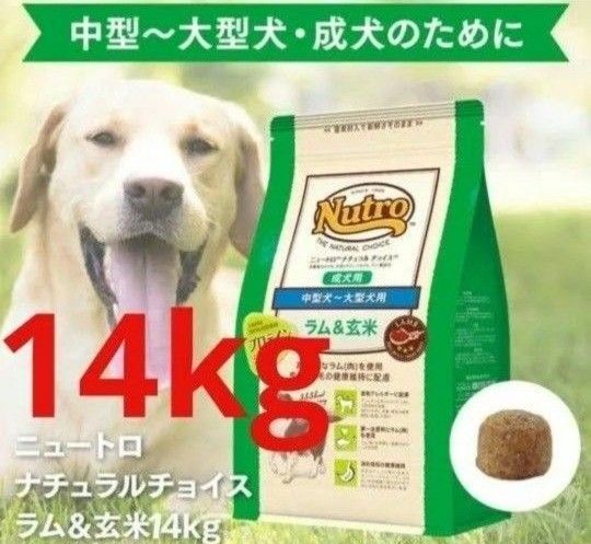 ニュートロナチュラルチョイス ラム&玄米 中型犬 大型犬 成犬用 14kg
