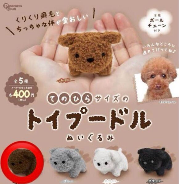 てのひらサイズのトイプードル ぬいぐるみ ブラウン トイプードル ガチャ