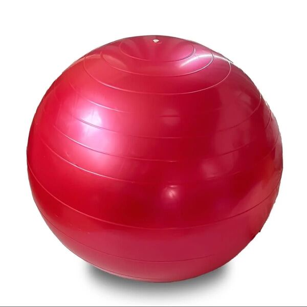 50-65cm バランスボール ヨガ トレーニング フィットネス 体幹 ダイエット