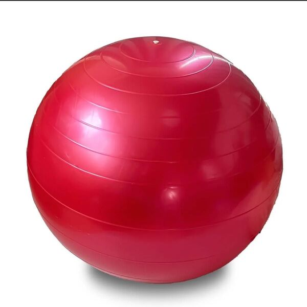 50-65cm バランスボール ヨガ トレーニング フィットネス 体幹 ダイエット
