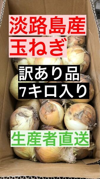 淡路島産 新玉葱 訳あり7キロ箱入り