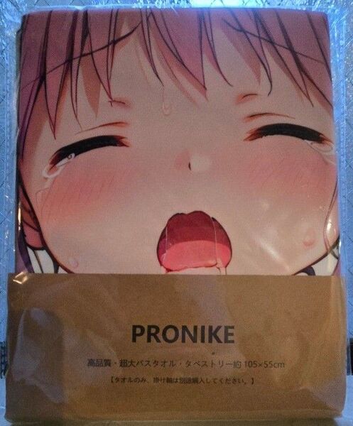 タペストリー・バスタオル まどマギ 鹿目まどか