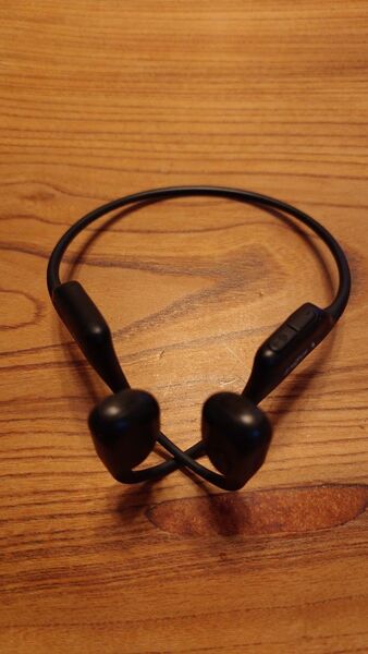 骨伝導イヤホン Shokz OpenRun Pro Black