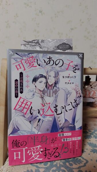 可愛いあの子を囲い込むには 召喚された運命の番 (&arche NOVELS) まつぼっくり/著