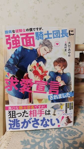 臆病な従騎士の僕ですが、強面騎士団長に求愛宣言されました! (&arche NOVELS) 大竹あやめ/〔著〕