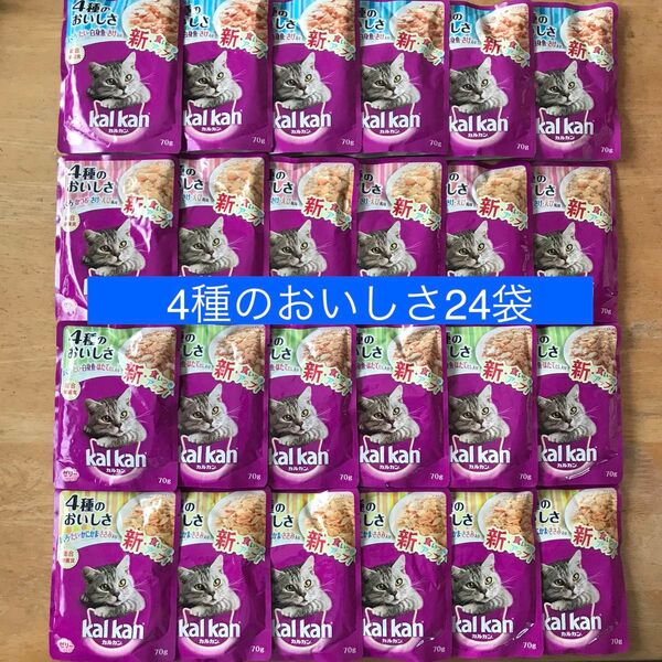 カルカンパウチ 4種のおいしさ 24袋