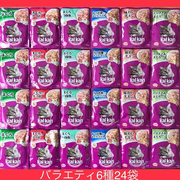 カルカンパウチ バラエティ 6種24袋