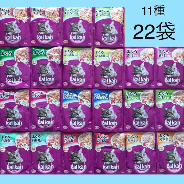 カルカンパウチ 11種22袋