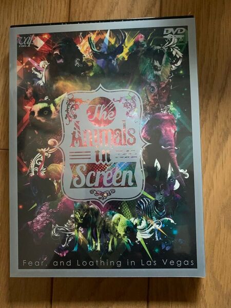 ラスベガスDVD