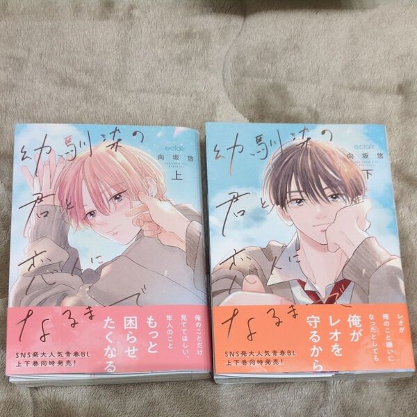 幼馴染の君と恋人になるまで 上下巻 『向坂悠』