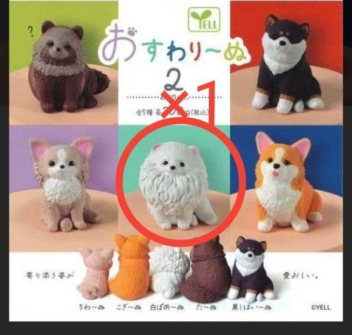 ★未使用★おすわり〜ぬ2★お座り×犬★白ぽめ〜ぬ★白ポメラニアン★a