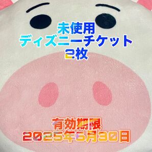 【未使用】ディズニーチケット2枚セット