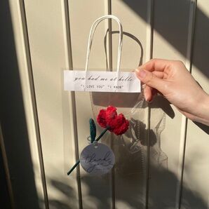 枯れないカーネーション