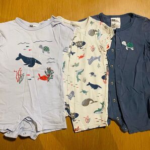 H&M 半袖ロンパース セット 海の生きもの【4-6M】