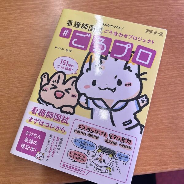 #ごろプロ みんなでつくる看護師国試ごろ合わせプロジェクト (プチナース) かげ/著・イラスト