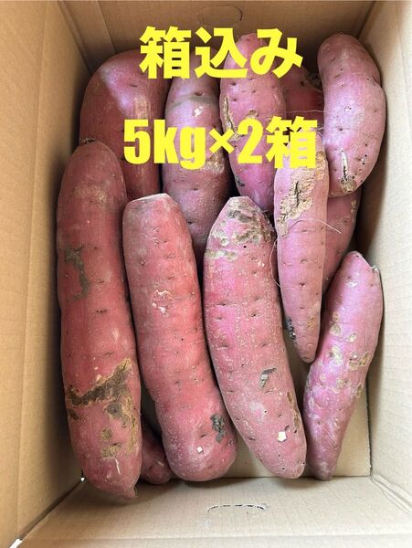 茨城県産 さつまいも べにはるか 箱込み5kg×2箱