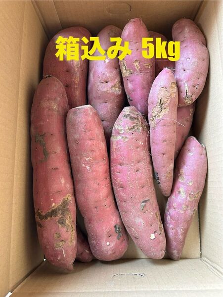 茨城県産 さつまいも べにはるか 箱込み5kg