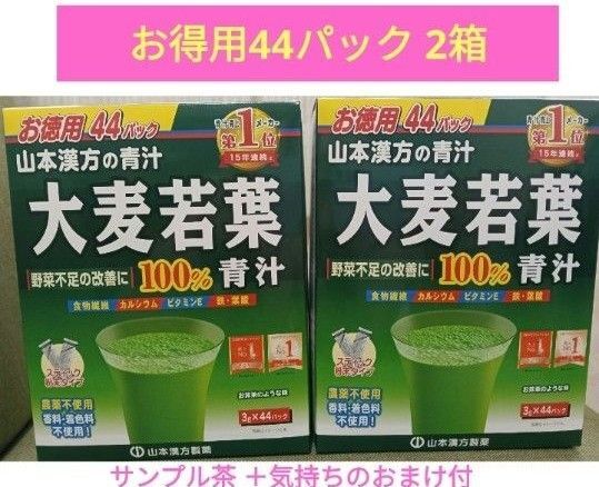 サンプル茶 プレゼント券付き山本漢方製薬 大麦若葉 青汁 3g × 88パック賞味期限:2028年2月