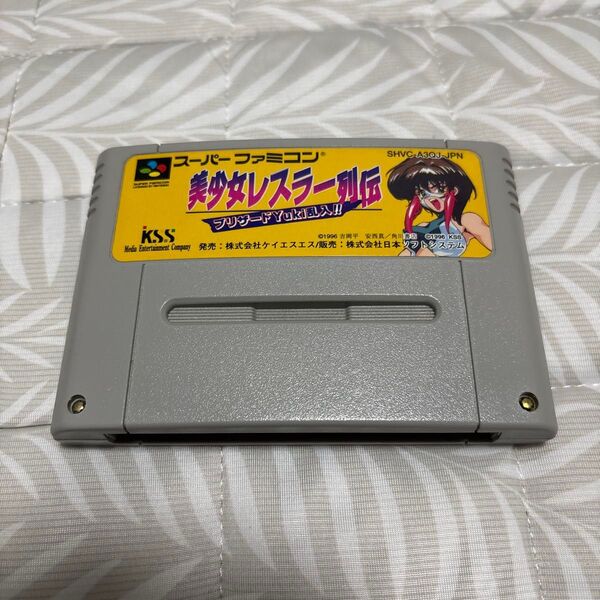 美少女レスラー列伝 スーパーファミコン ソフトのみ