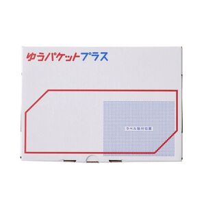 【5枚】ゆうパケットプラス 専用箱 専用BOX