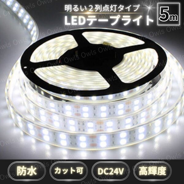 LEDテープライト 5m 24V 白 ホワイト 2列発光 カット可 シリコンカバー 蛍光灯 5050SMD 600連 切断可