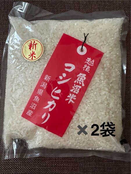 越後 魚沼米 コシヒカリ 1k 新潟県 お米 6年産