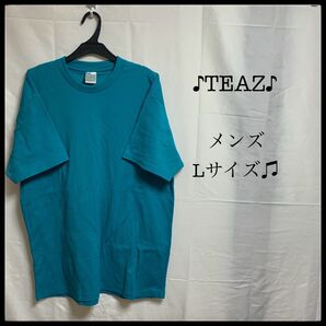 TEAZ メンズ 半袖 Tシャツ スポーツウェア ブルーグリーン 大きめL