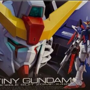 RG デスティニーガンダム