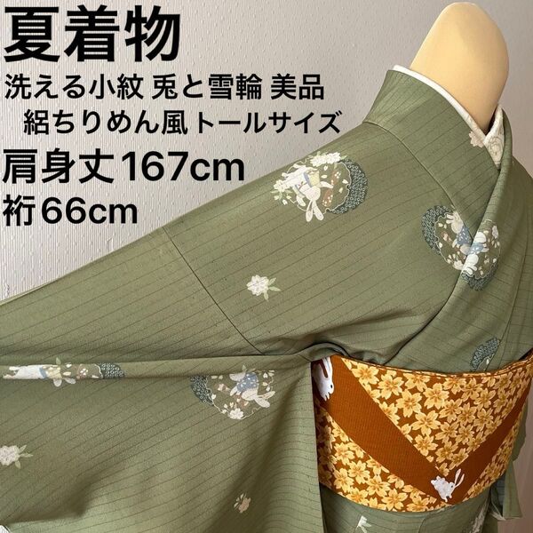 夏着物 洗える小紋 絽ちりめん風 兎と雪輪 草色 トールサイズ 裄長め L 美品