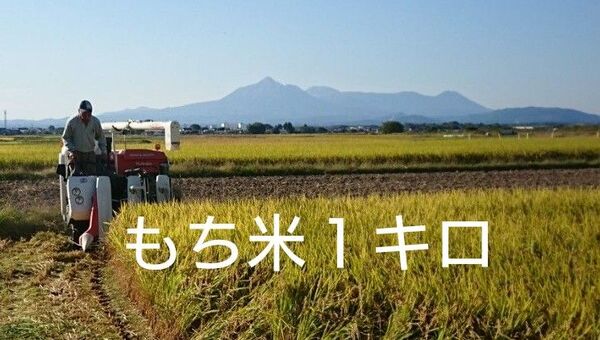 もち米 1キロ 宮崎産