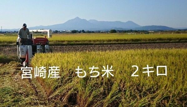 もち米 2キロ 宮崎産 ヒヨクモチ