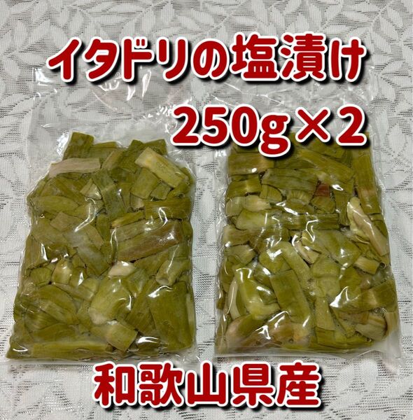 イタドリの塩漬け250g×2