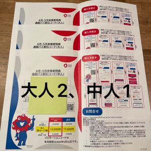EXPO2025 大阪万博 通期パス割引コード 大人2枚、中人1枚