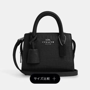 COACH アンドレア ミニ キャリーオール