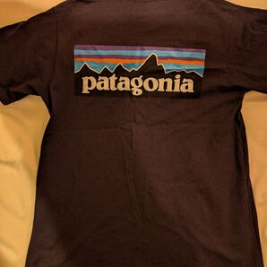 パタゴニア Tシャツ レスポンシビリティー XS patagonia