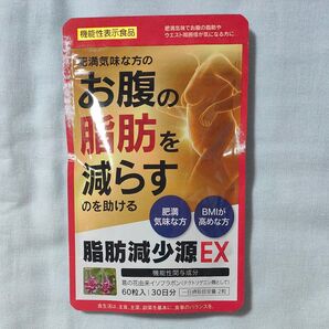 脂肪減少源 EX 60粒入