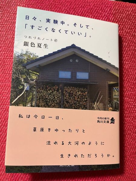 銀色夏生 つれづれノート(47) 日々、実験中。そして、「すごくなくていい」