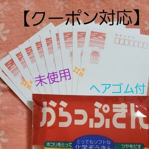 【未使用】年賀はがき 63円×10枚 おまけ付き ハガキ 2023年賀状 卯年 普通紙 富士山 応募用 懸賞用 クーポン対応