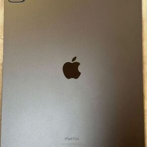 期間限定値下げ!!Apple 13インチiPad Pro(M4):Ultra Retina XDR ディスプレイ