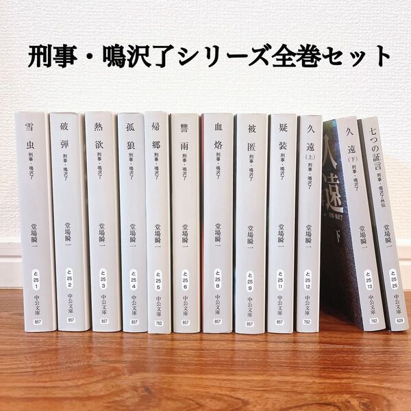 堂場瞬一 刑事 鳴沢了シリーズ 全巻セット 中公文庫 このミス ミステリー