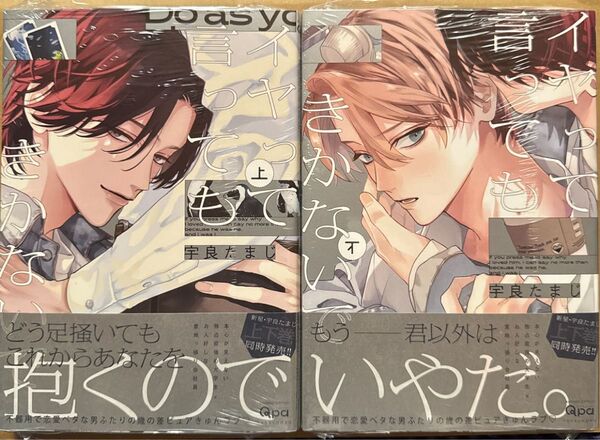 イヤって言ってもきかないで 上下 宇良たまじ