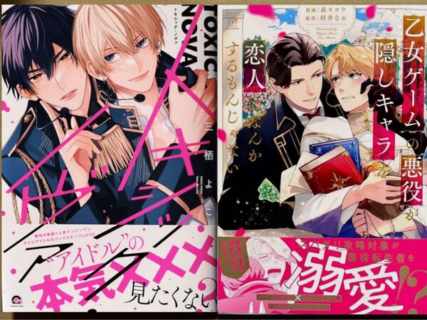 乙女ゲームの悪役が、隠しキャラを恋人になんかするもんじゃない 森キヨウ/村井なお トキシック・ノヴァ 三栖よこ