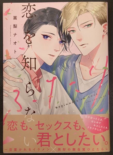 恋を知らないふたり 嵩梨ナオト 先生