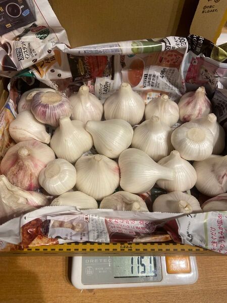 香川県産 生にんにく ③